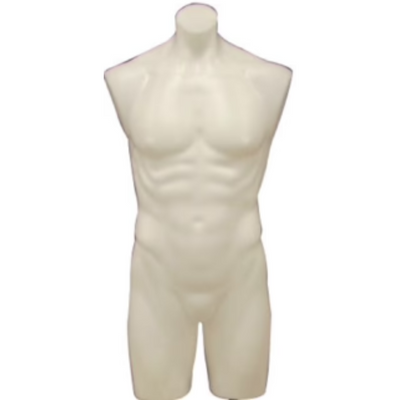 Plastic Male 3/4 Mannequin Torso White: Without Stand