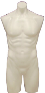 Plastic Male 3/4 Mannequin Torso White: Without Stand