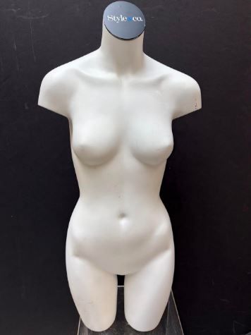 Used Female 3/4 Torso - White Matte #1