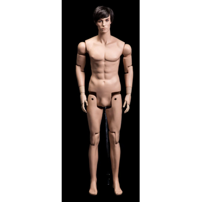 Articulated Realistic Male Mannequin 1: Tan