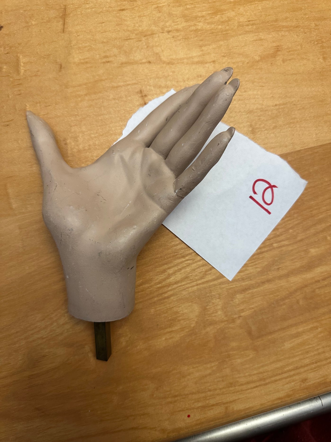 Used Rootstein Female Mannequin Hand - Calendar Girl