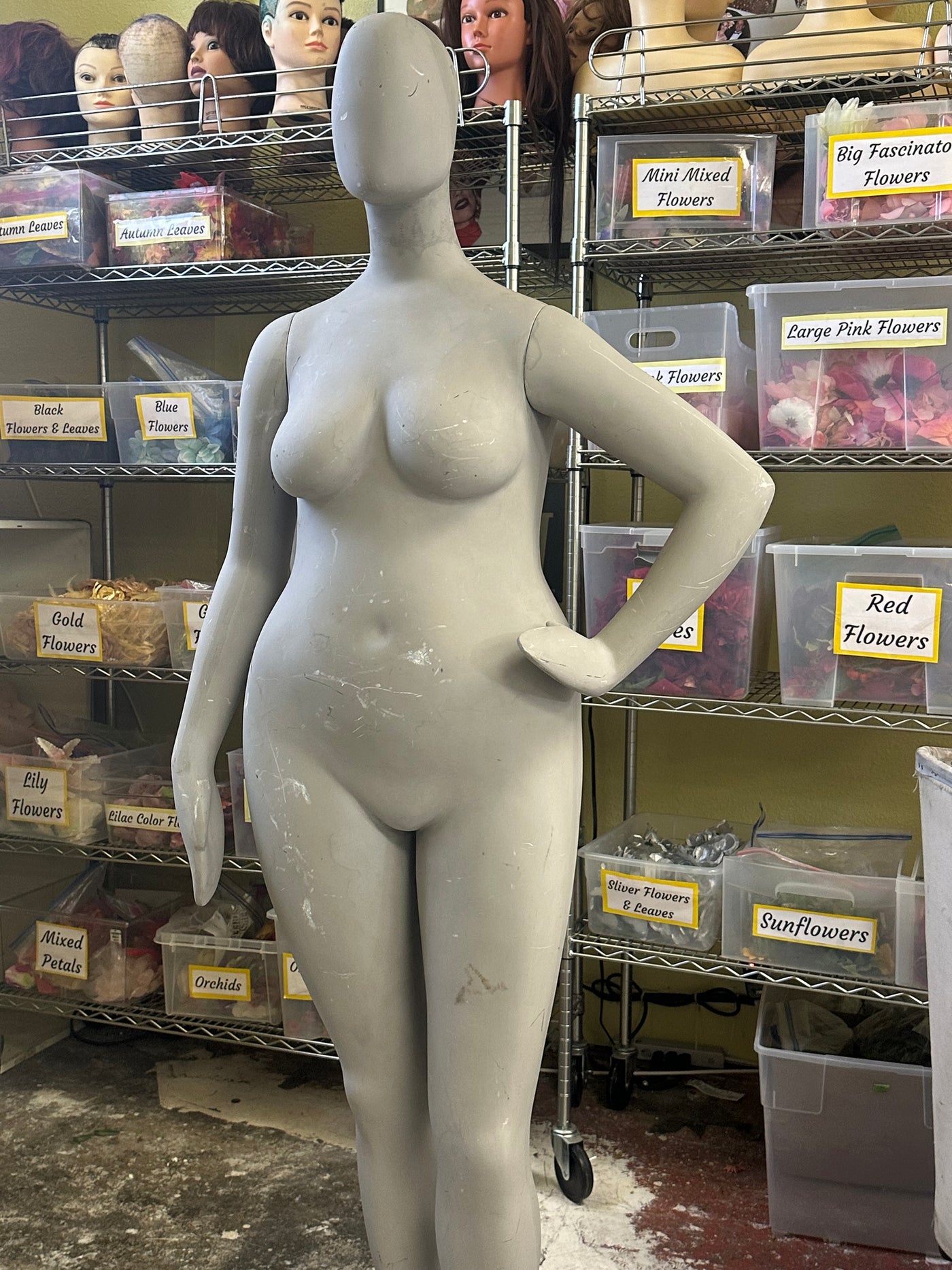 Used Female Plus Size Mannequin by Pucci