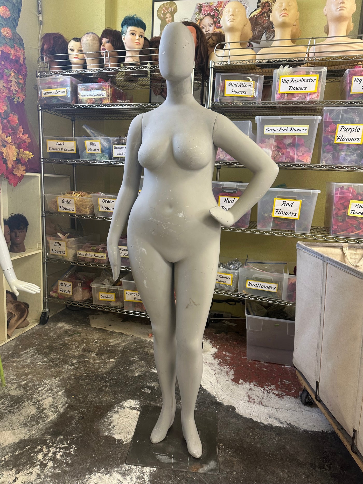 Used Female Plus Size Mannequin by Pucci
