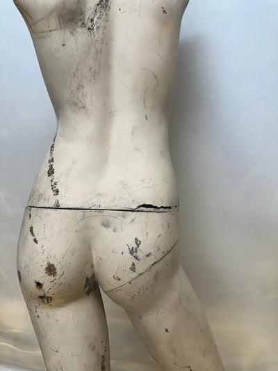 Used Adel Rootstein Realistic Mannequin -Eimi and Ana Series