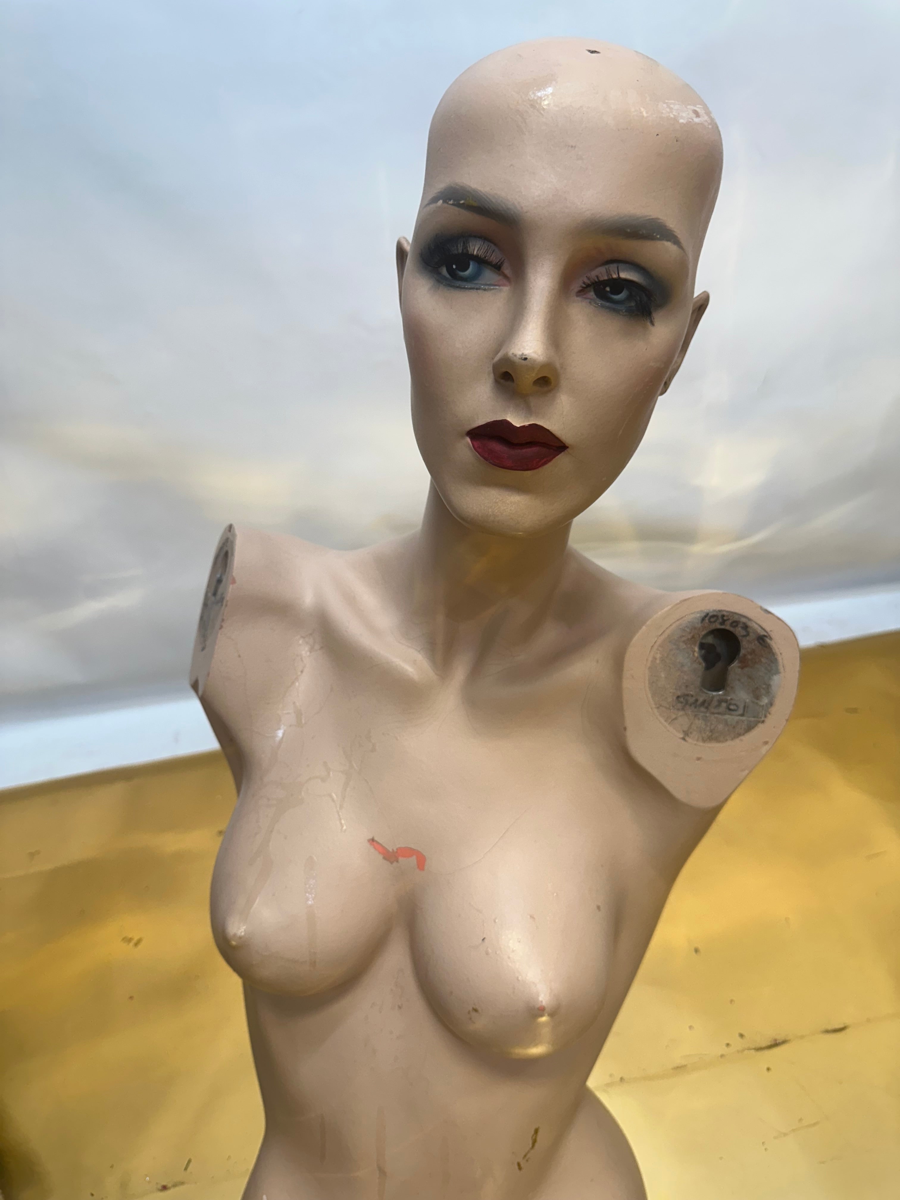 Used Adele Rootstein  Realistic Mannequin Torso