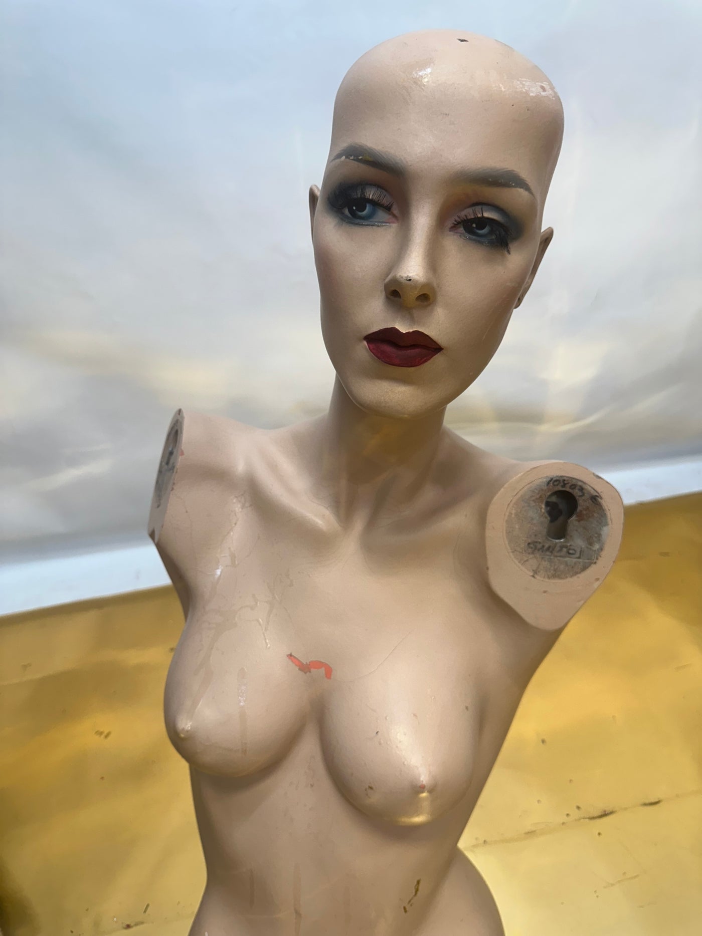 Used Adele Rootstein  Realistic Mannequin Torso