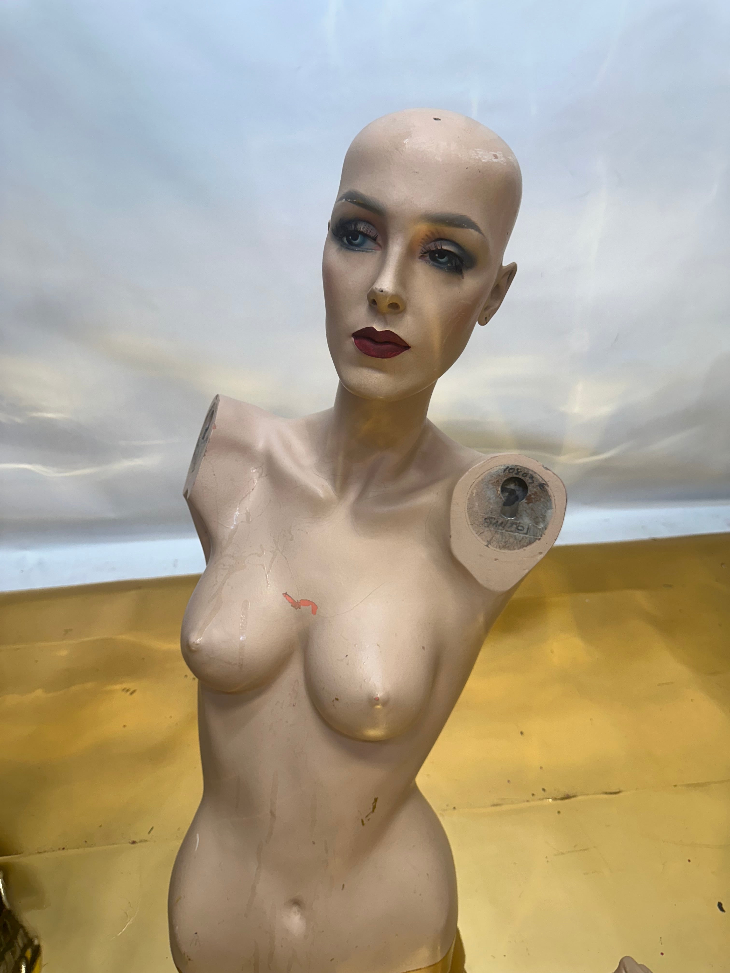 Used Adele Rootstein  Realistic Mannequin Torso