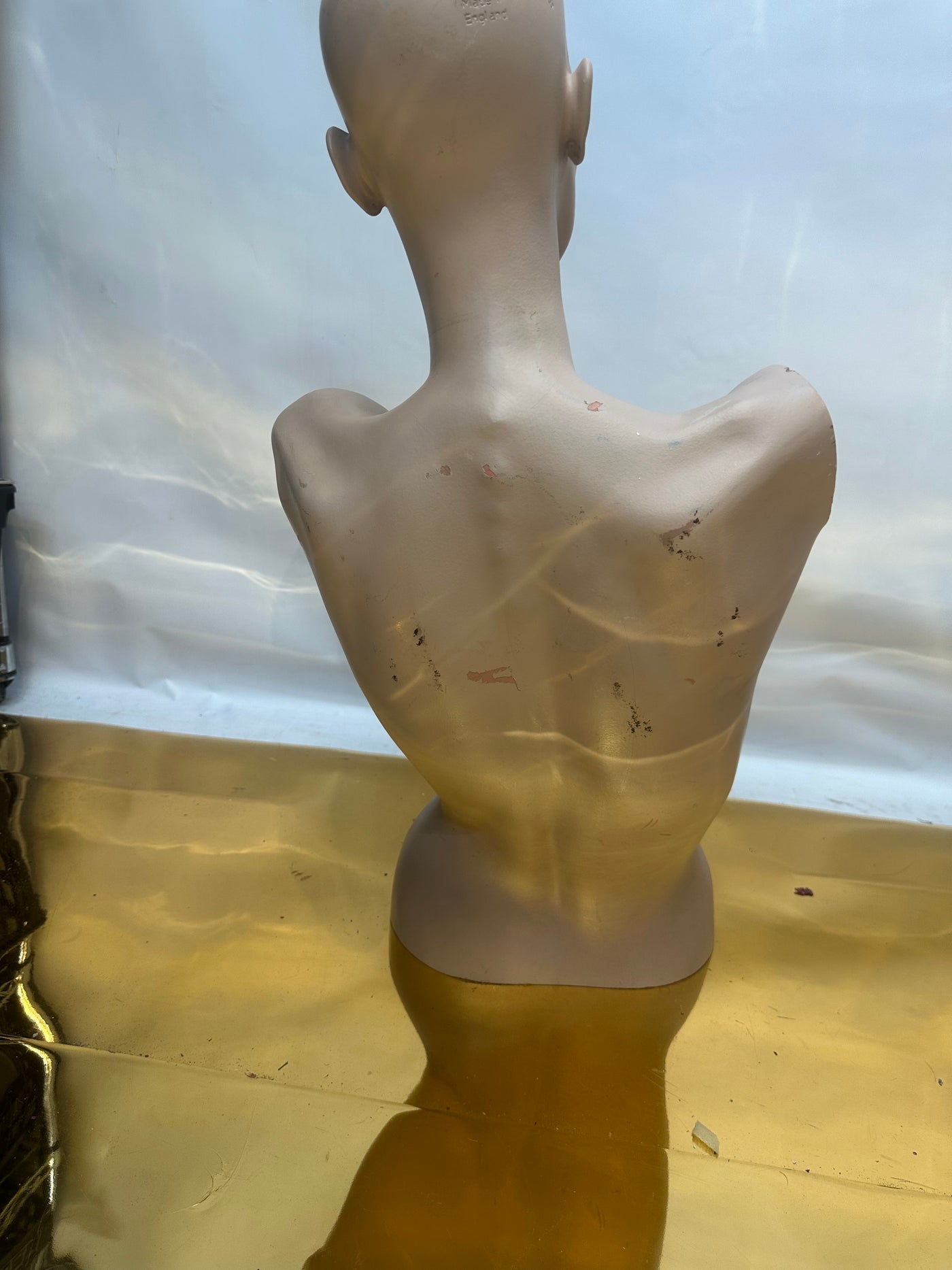 Used Adele Rootstein  Realistic Mannequin Torso