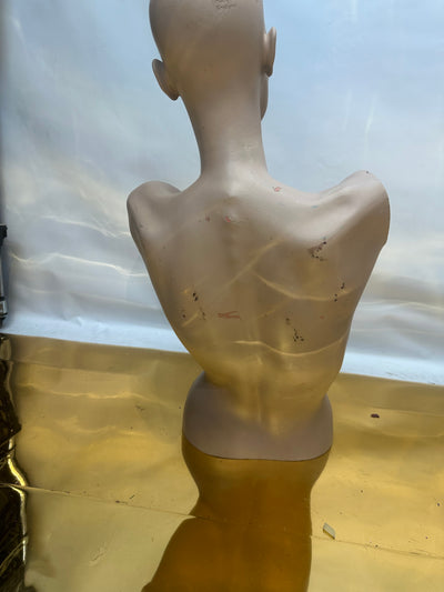 Used Adele Rootstein  Realistic Mannequin Torso