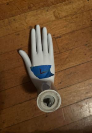 Used Female Schlappi Mannequin Hand  #L