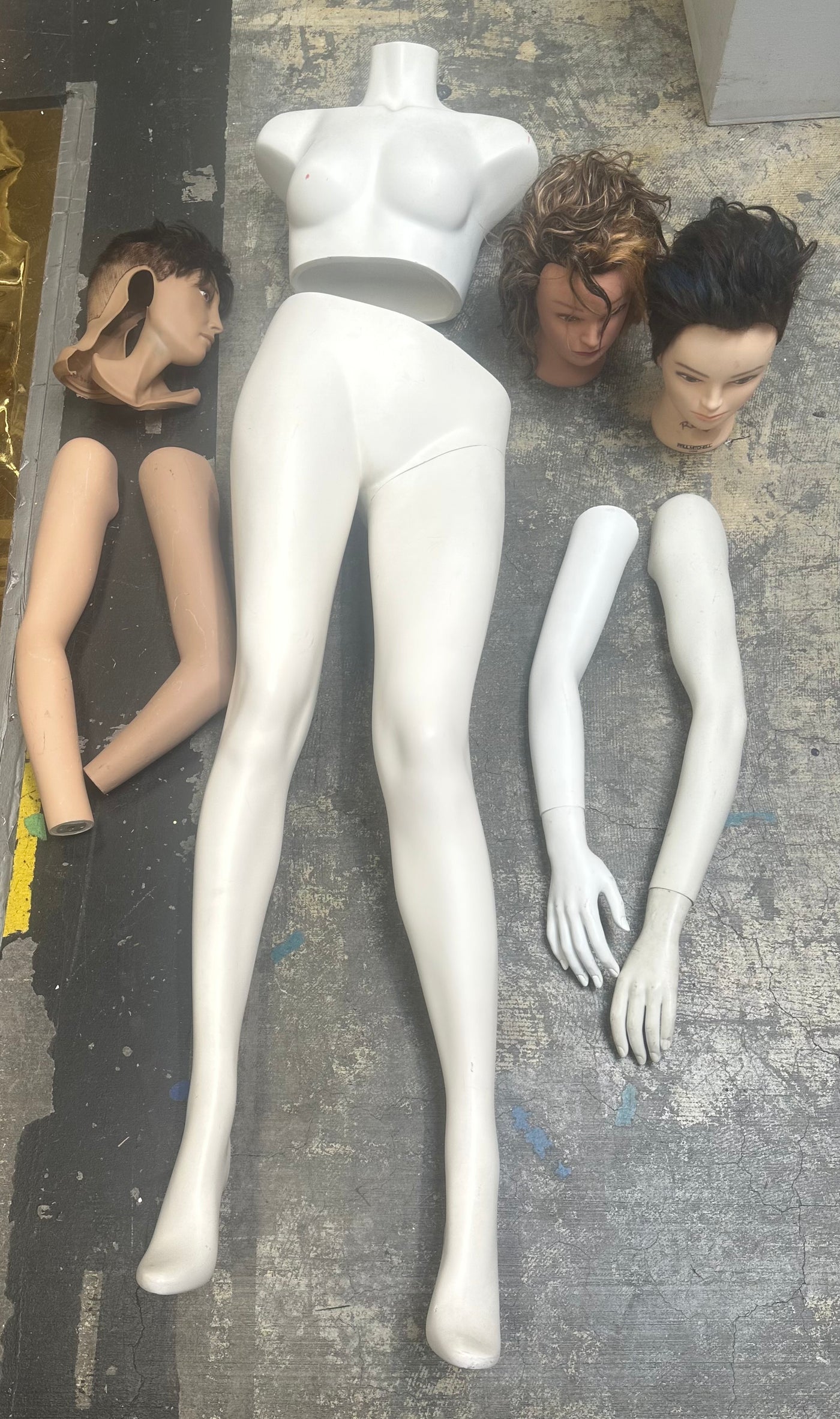 Female Mannequin Parts Bundle for Halloween Displays - Used heads, arms, torso and legs