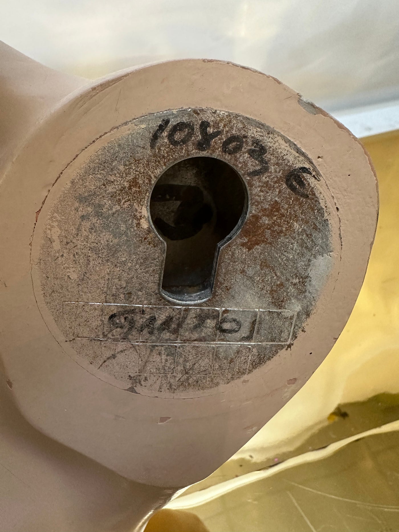 Used Adele Rootstein  Realistic Mannequin Torso