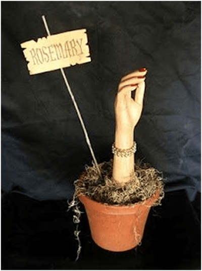 Female Mannequin Parts Bundle for Halloween Displays - Used heads, arms, torso and legs
