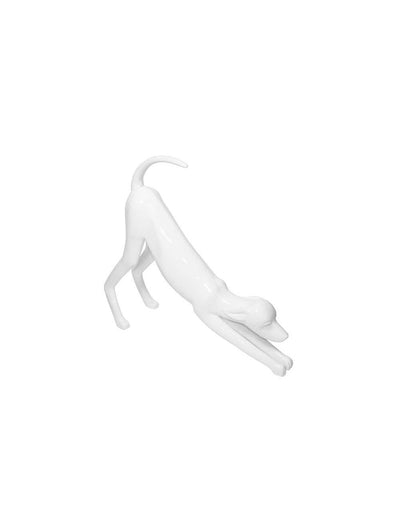 Stretching Greyhound Dog Mannequin: Color Options