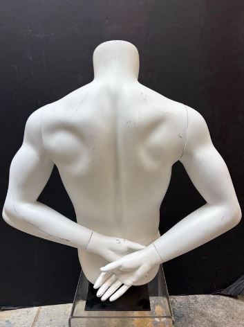 Used male mannequin torso with arms behind back - Matte White