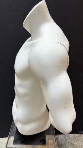 Used male mannequin torso with arms behind back - Matte White