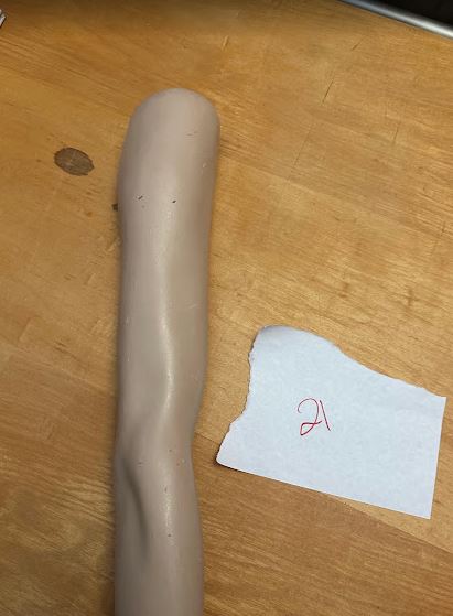 Used Female Rootstein Mannequin Arm - Classy Lady Long Legs Series