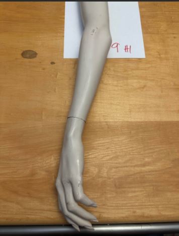 Used Rootstein  Mannequin Arm - Classy Long Legs Series #2