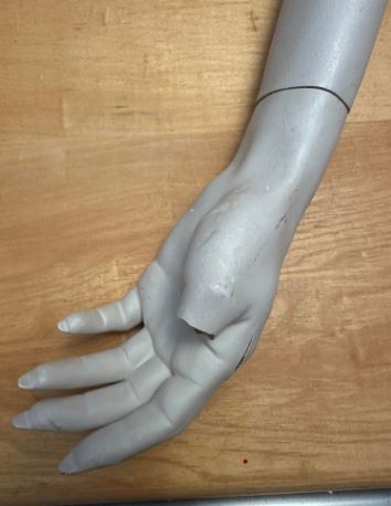 Used Rootstein  Mannequin Arm - Classy Long Legs Series #2