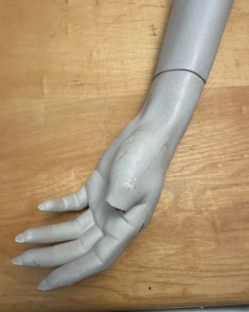 Used Rootstein  Mannequin Arm - Classy Long Legs Series #2