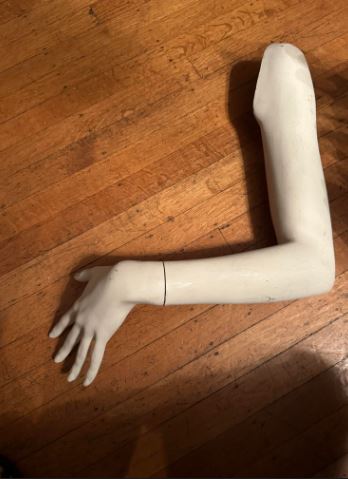 Used Rootstein Female arm - Faye Series