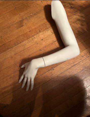 Used Rootstein Female arm - Faye Series
