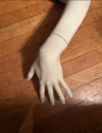 Used Rootstein Female arm - Faye Series