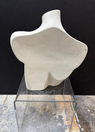 Used Female Torso with Flat Back