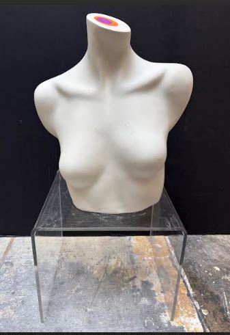 Used Female Torso with Flat Back