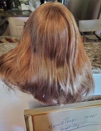 Used Rootstein Hard Cap Wig - Supermodels
