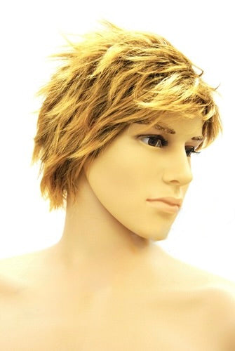 Male Wig: Jared