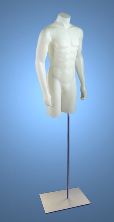 Male 3/4 Torso on Stand with Magnetic Arms