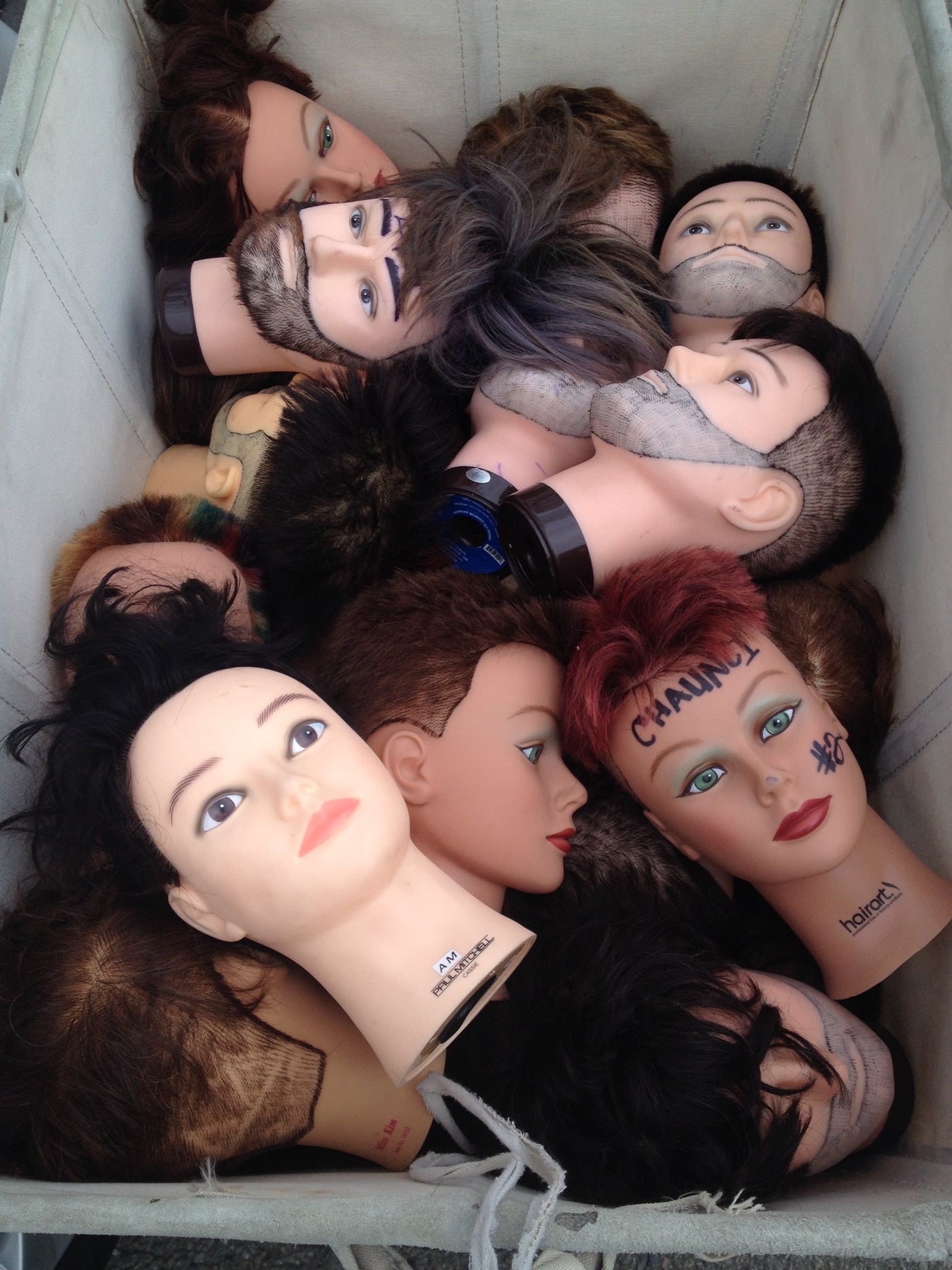 Used Mannequin Cosmetology Heads -- Pack of 2