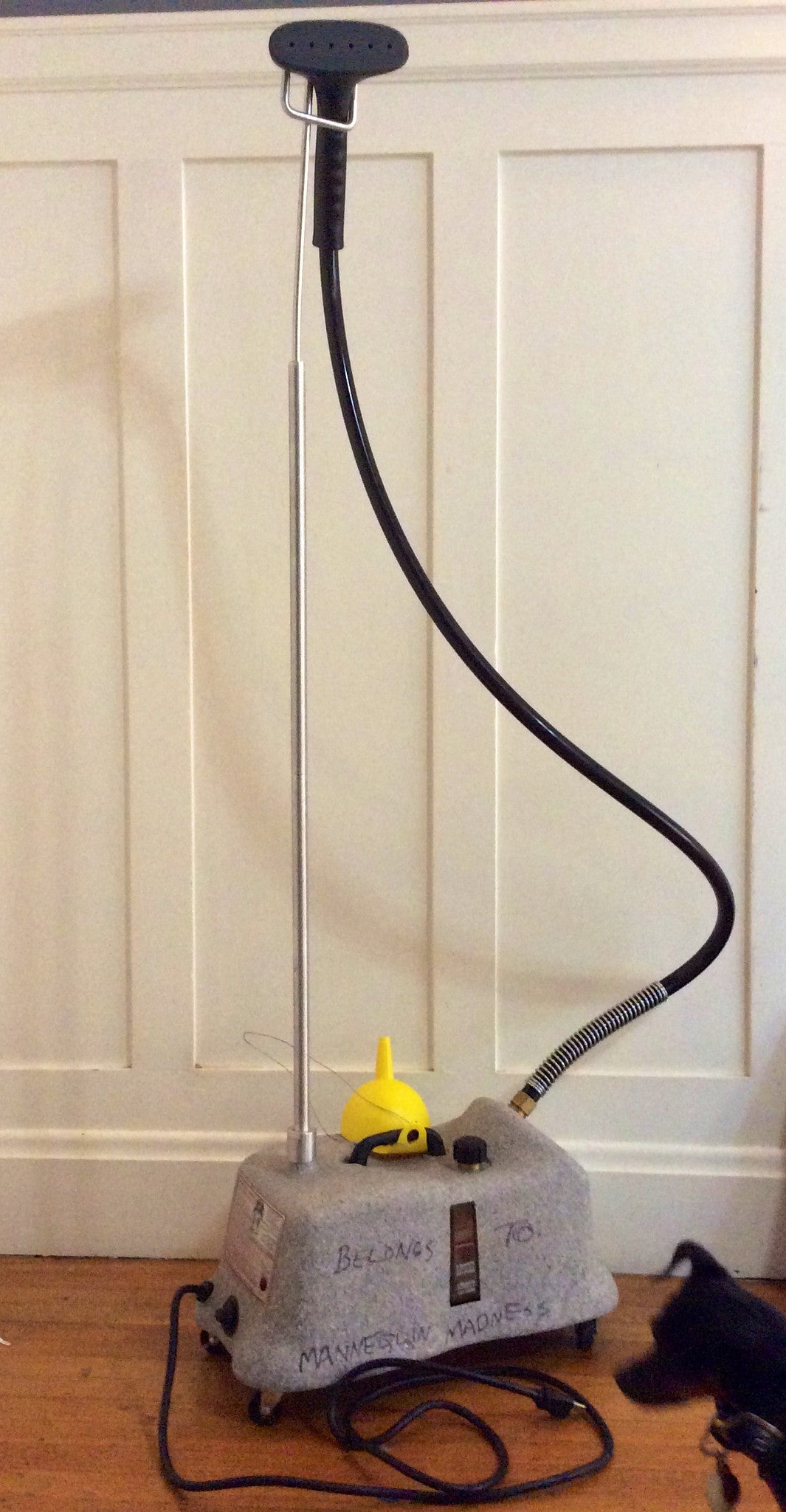 Rental Commercial Steamer: Large