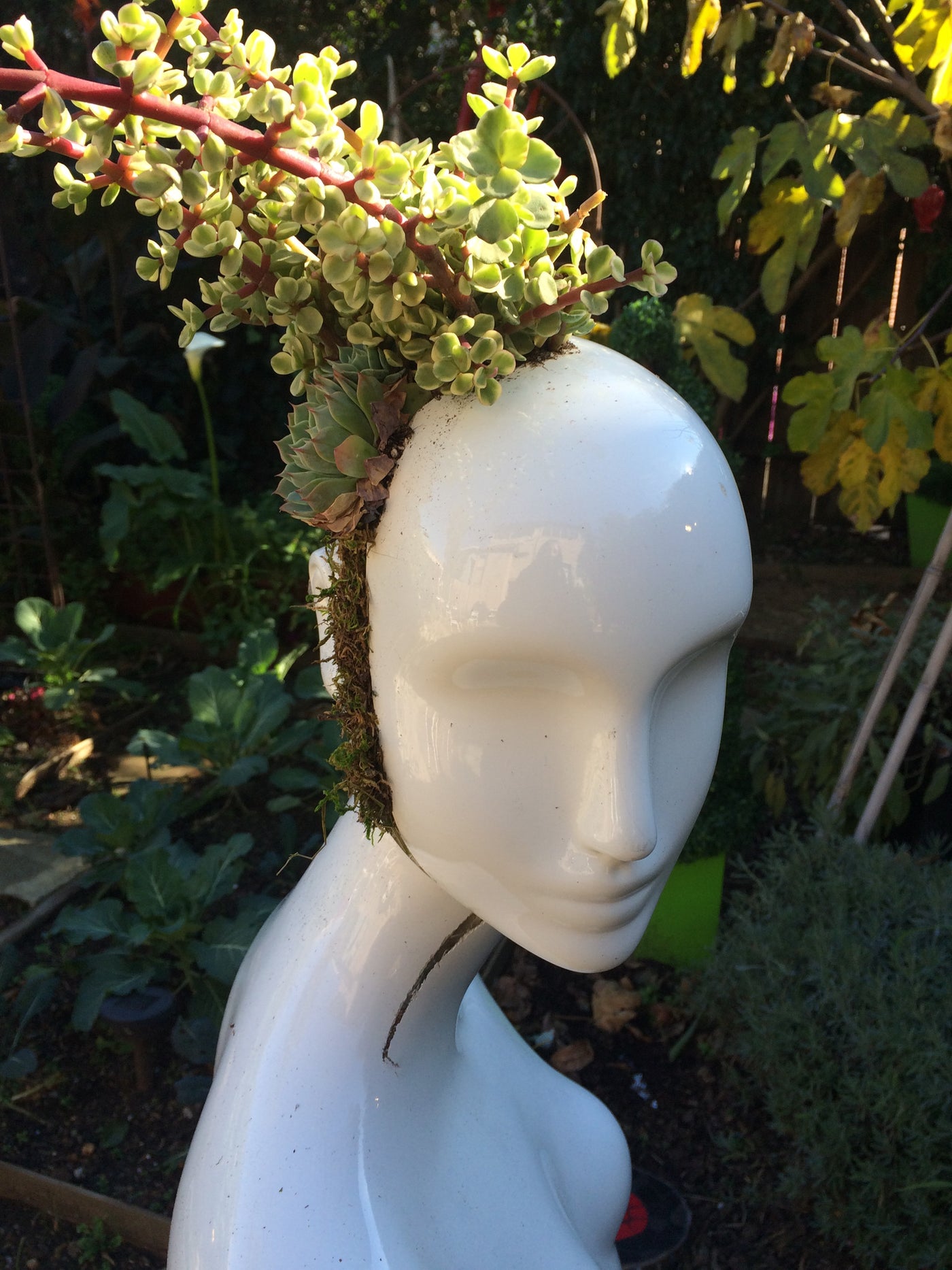 EBook Tutorial: Floral & Succulent Mannequin Head Display
