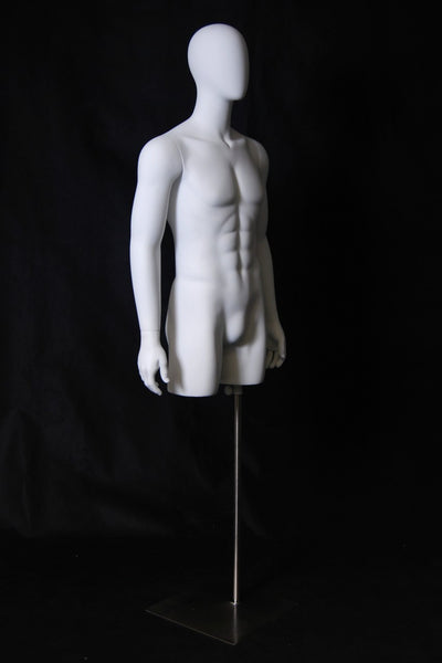 Egghead 3/4 Male Torso with Head and Arms