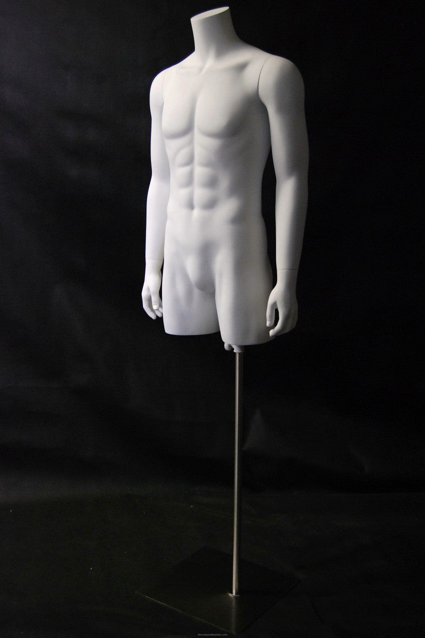 Headless 3/4 Male Torso with Arms on a Stand