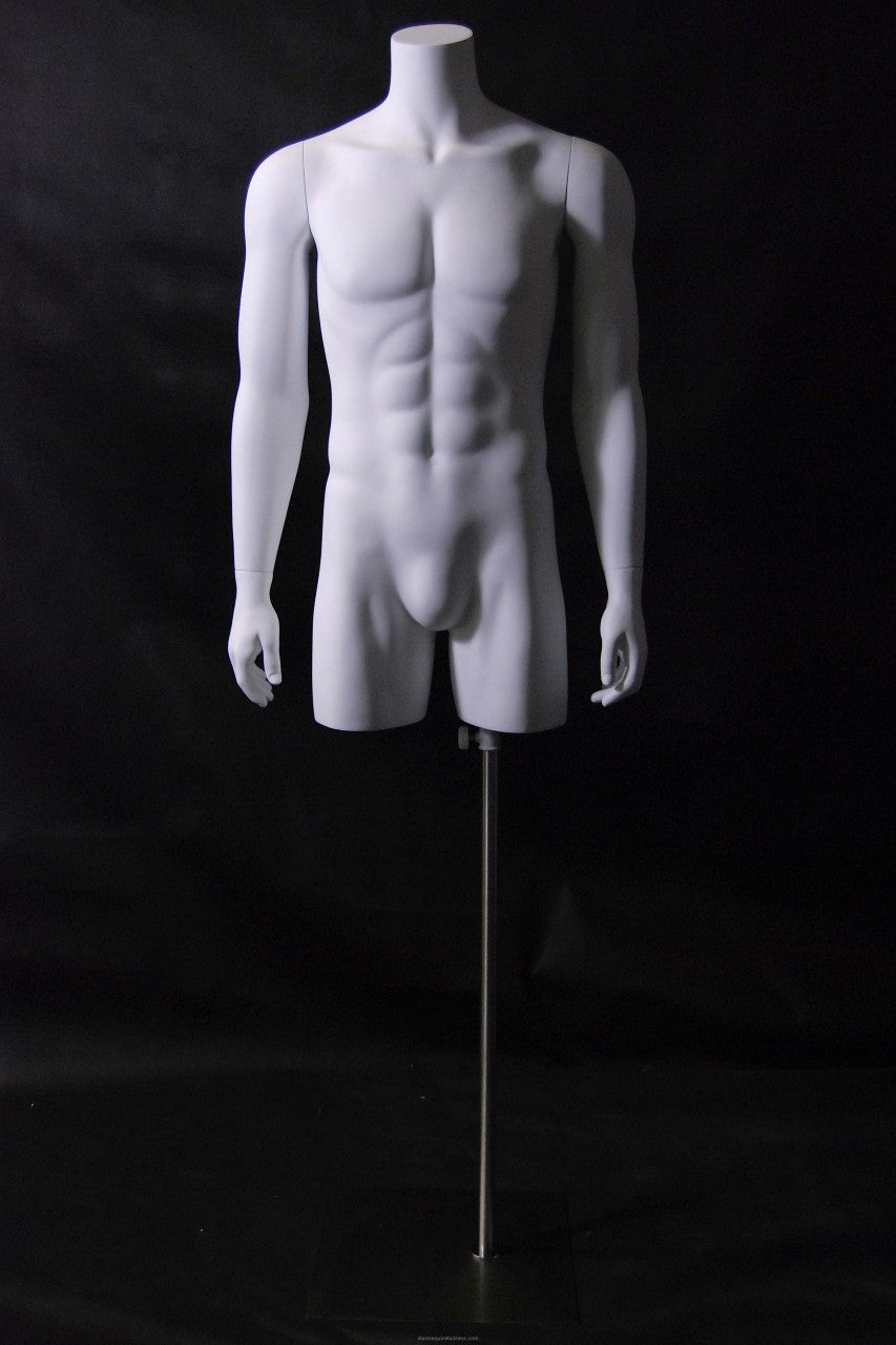 Male Torso Mannequin With Stand