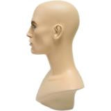 Denny: Male Mannequin Head