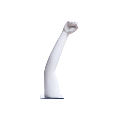 Tabletop Mannequin Arm 1