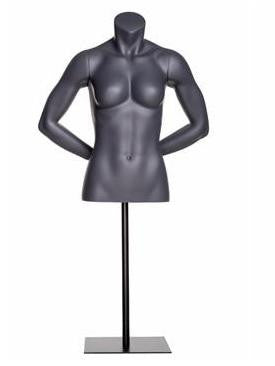 Athletic Female Torso