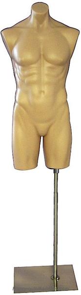 Tan Plastic Male 3/4 Torso: With or Without Stand
