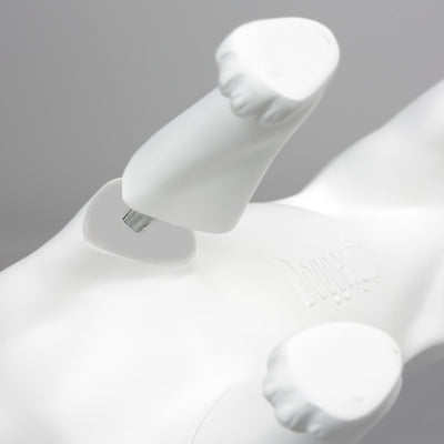 French Bulldog Mannequin: Matte White