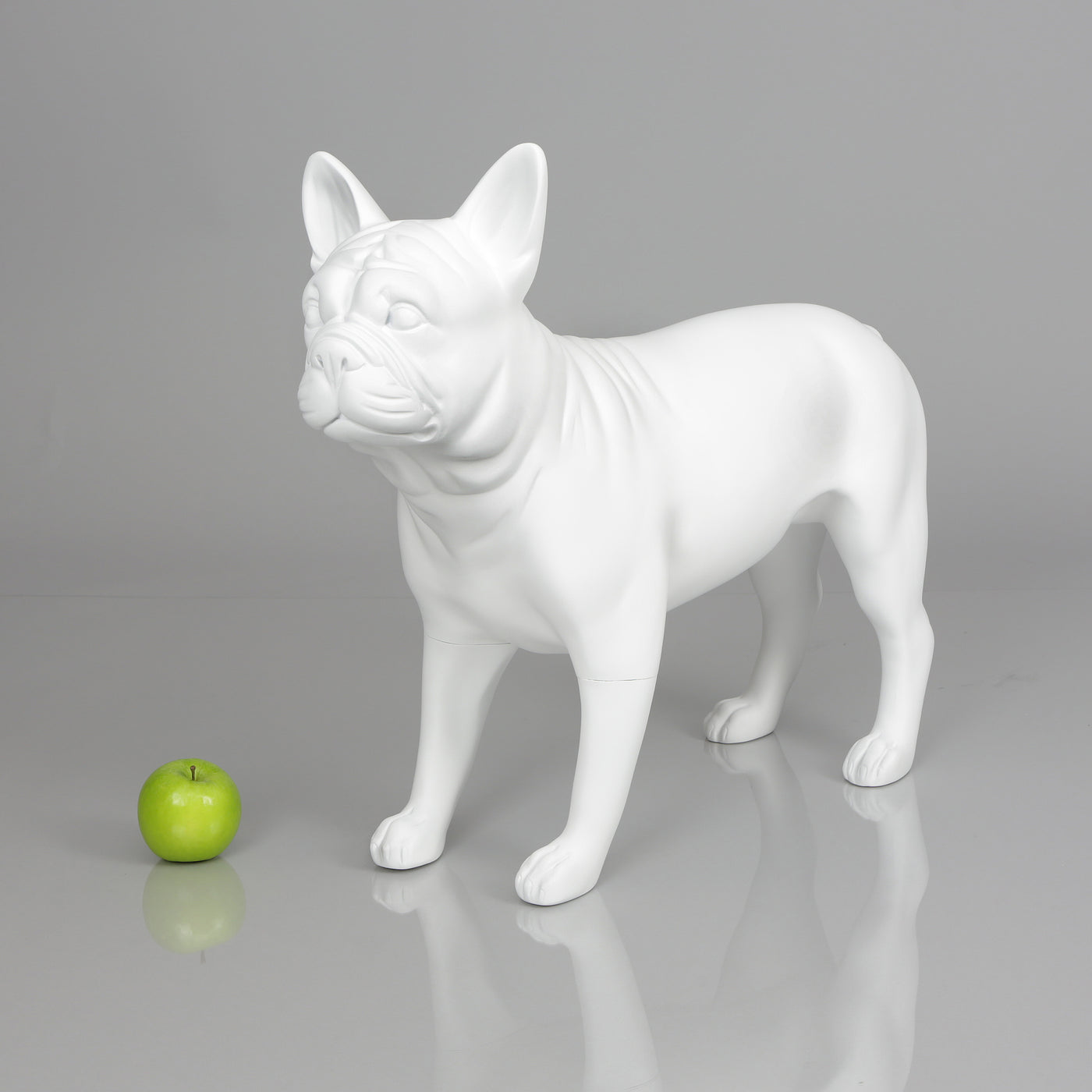 French Bulldog Mannequin: Matte White