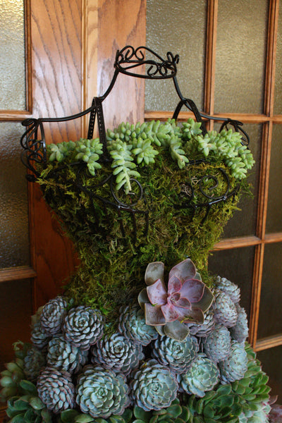 EBook Tutorial: Succulent Garden Dress Form Display