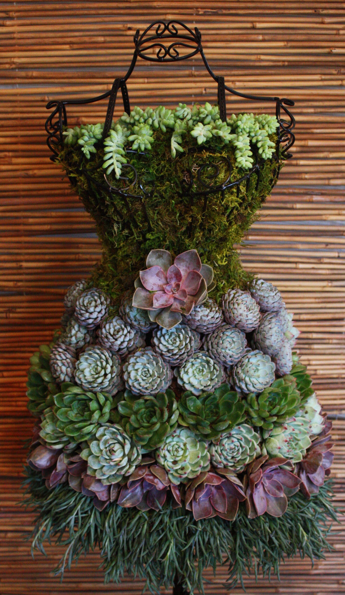 EBook Tutorial: Succulent Garden Dress Form Display